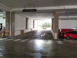 Focus One (D14), Factory #221576761